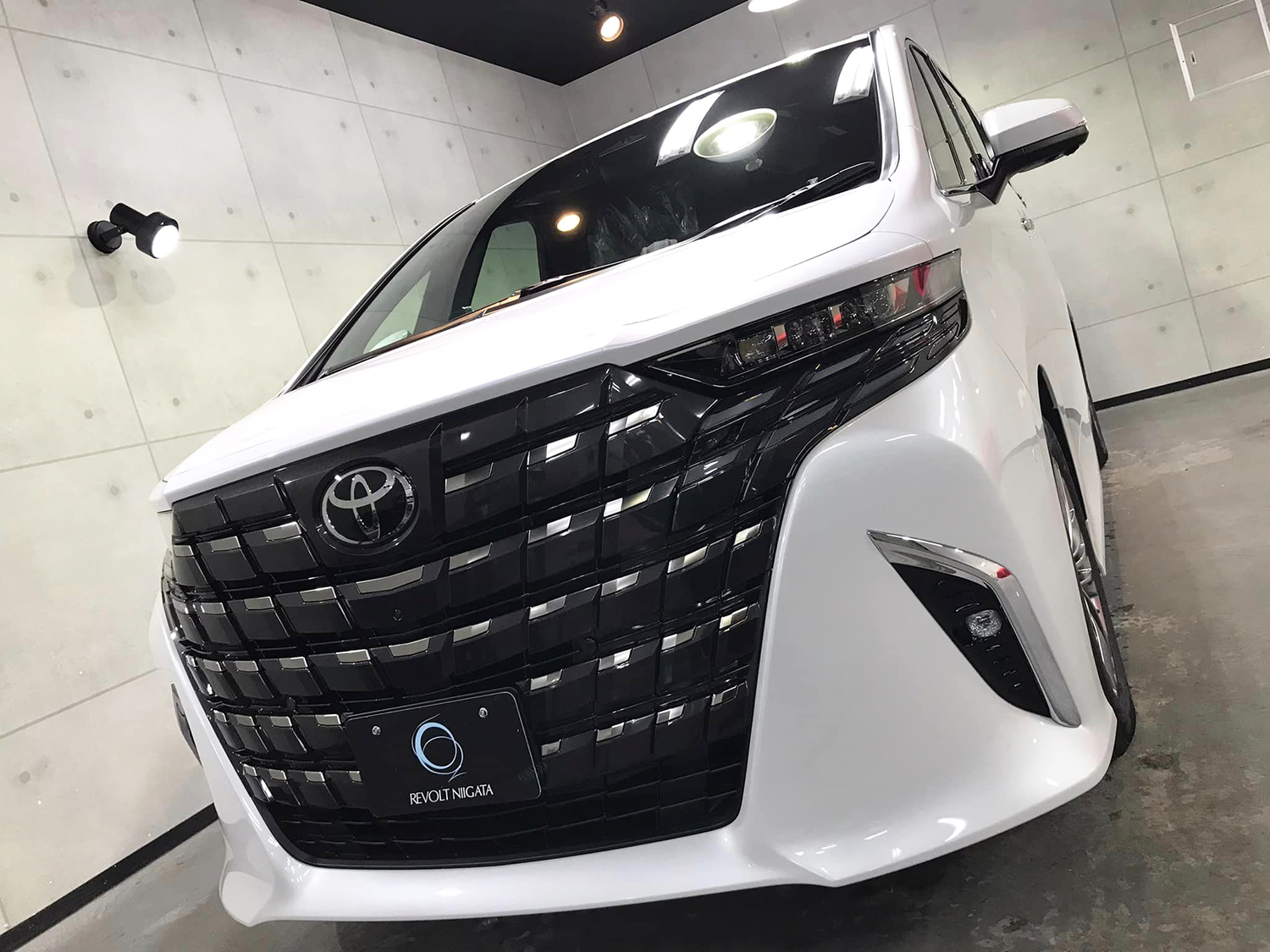 alphard_6.jpg