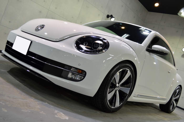 beetle-05.jpg