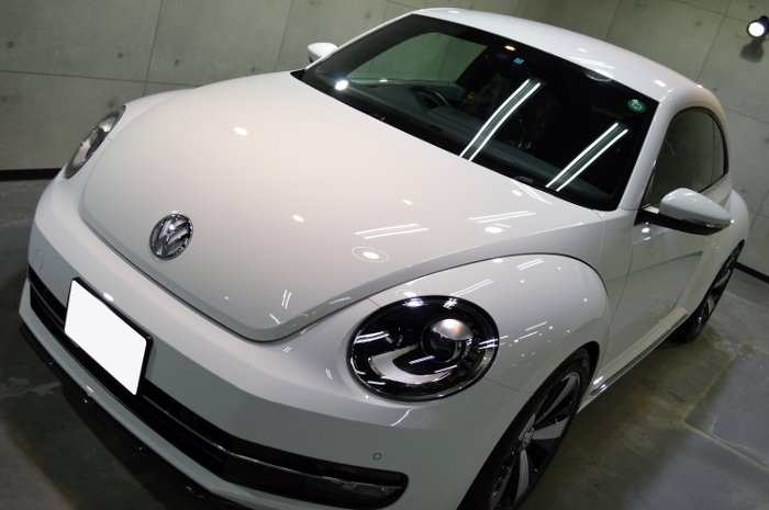 beetle-10.jpg