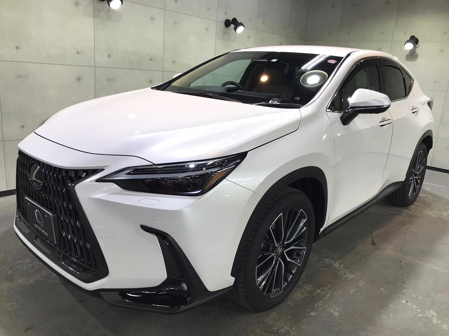 lexusnx350h-1.jpg