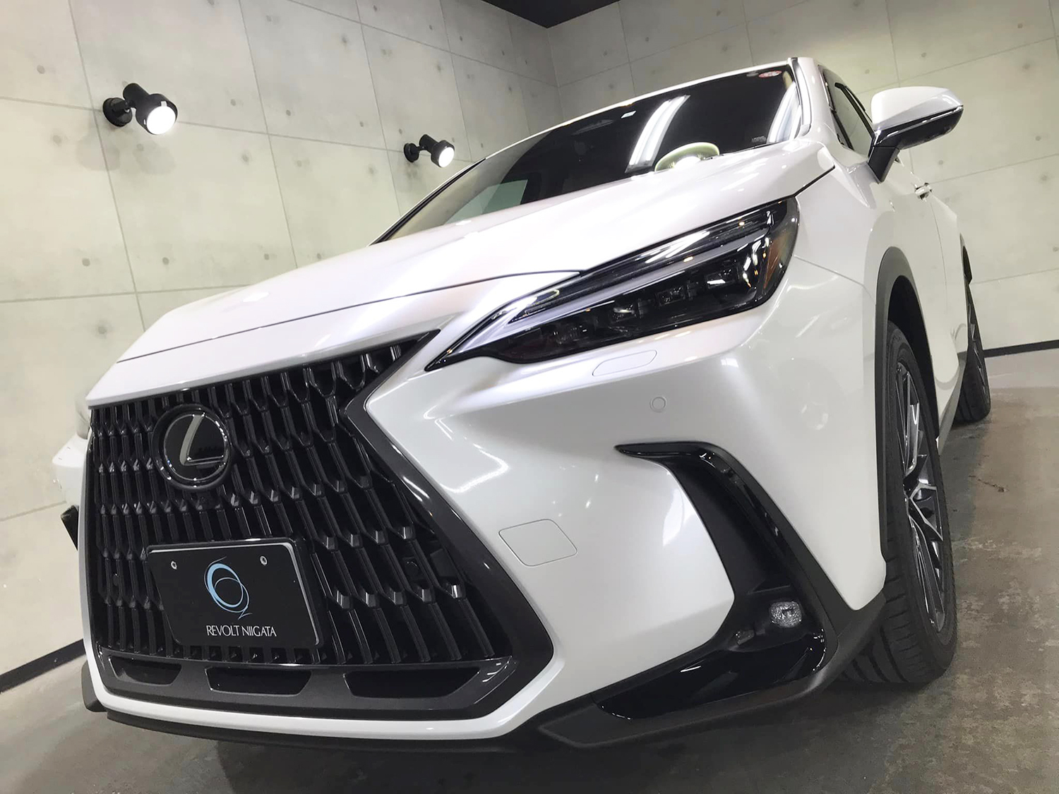 lexusnx350h-13.jpg