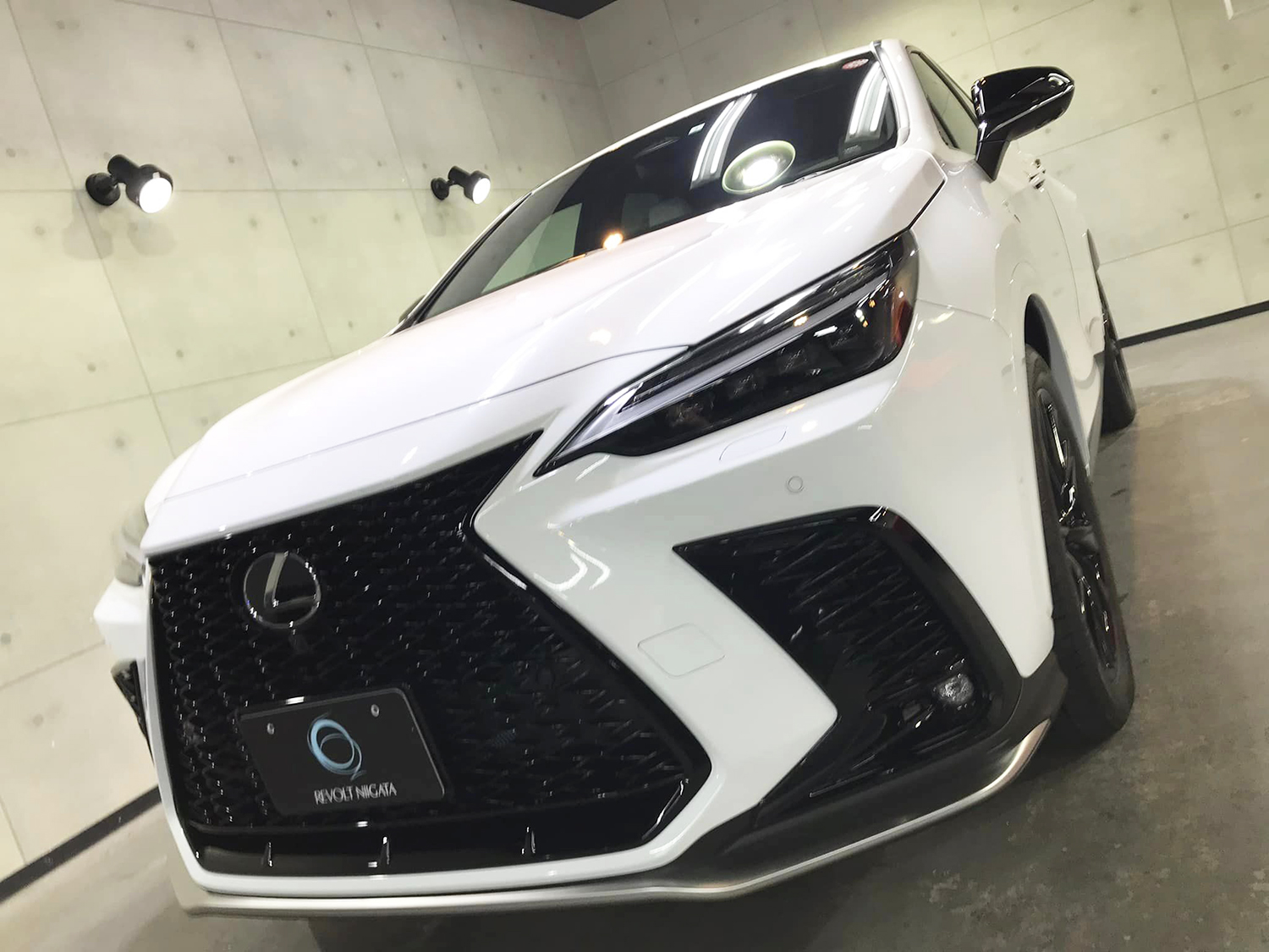 lexusnx450h-1.jpg