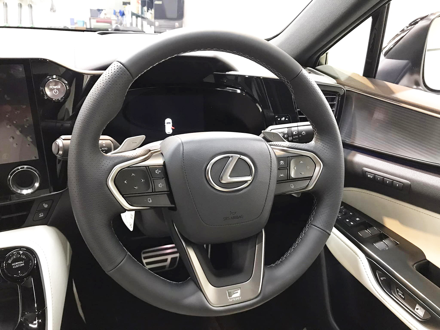 lexusnx450h-5.jpg