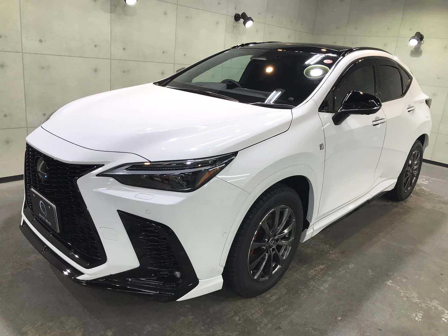 lexusnx_11.jpg